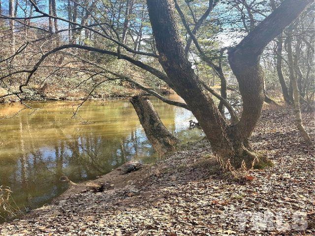74 Flora Drive Benson, NC 27504 - Photo 33 of 33 a backyard of a house with large trees