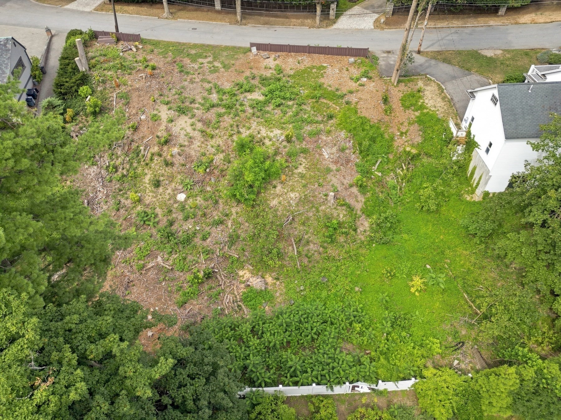 0 Huntington Road Newton, MA 02458 - Photo 4 of 10 Gallery Image 4