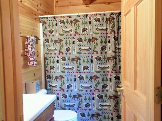4956 Wildwood Road Alger, MI 48610 - Photo 24 of 50