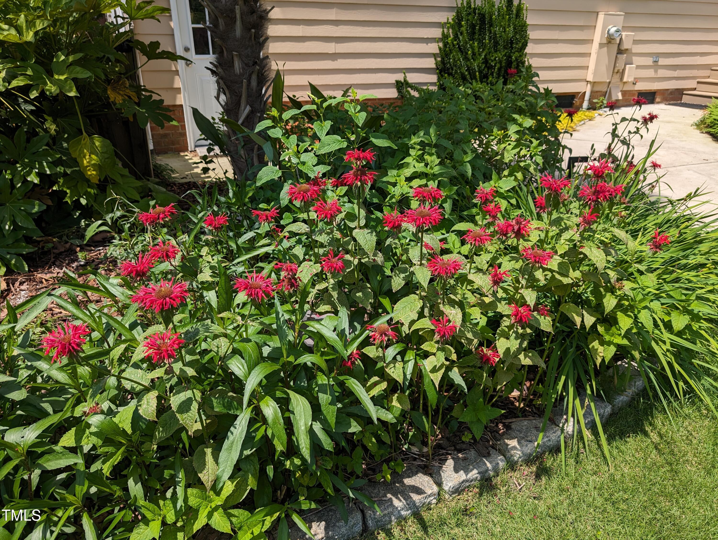 3708 Wesley Ridge Drive Apex, NC 27539 - Photo 10 of 48 a flower view