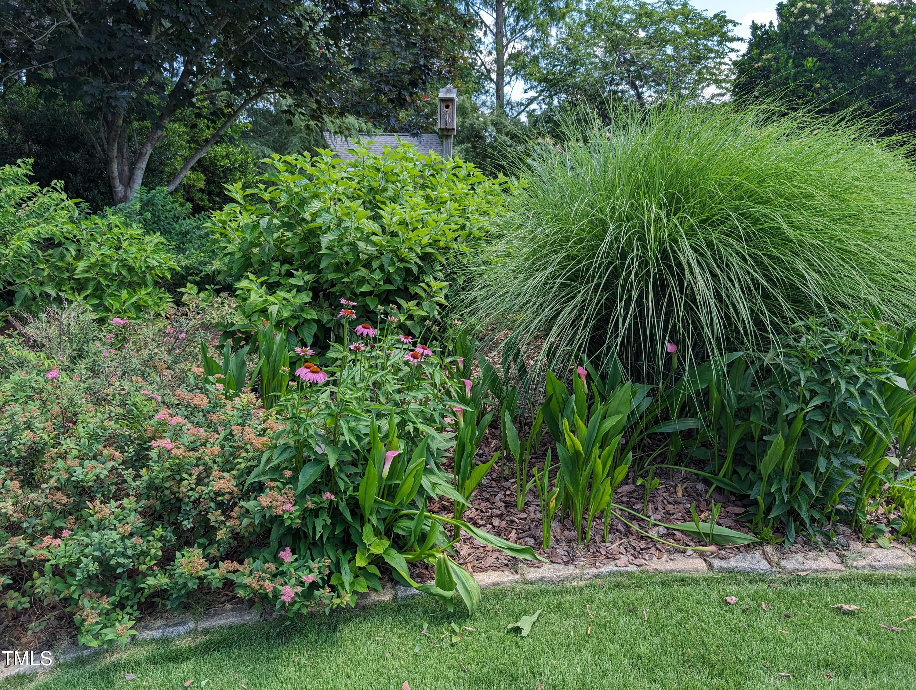 3708 Wesley Ridge Drive Apex, NC 27539 - Photo 9 of 48 a view of a plant in a garden