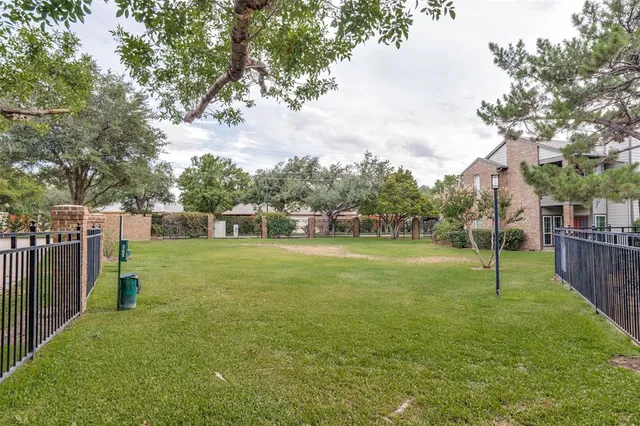 a view of a park with large trees