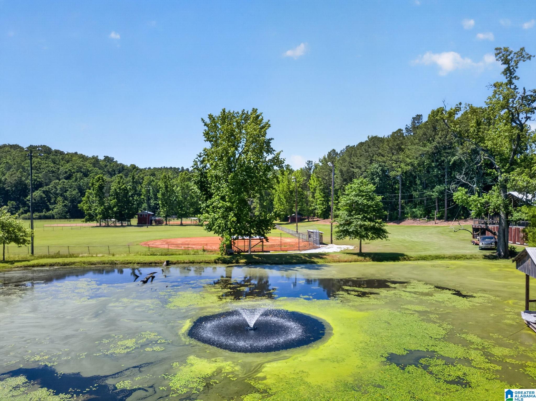 3463 County Road 3 Delta, AL 36258 - Photo 83 of 100