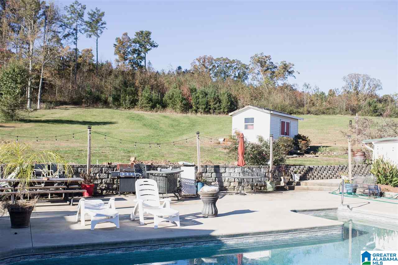 17034 Highway 46 Ranburne, AL 36273 - Photo 38 of 46