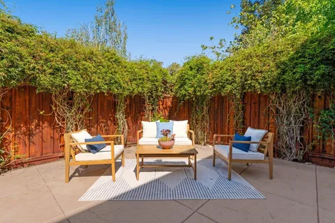 a outdoor space with the couches and a potted plant