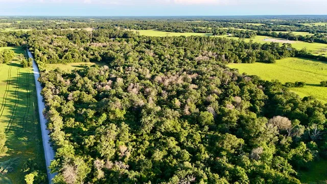 $120,000 | Tbd Tbd Mount, Franklin, TX 77856