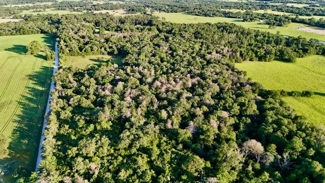 $120,000 | Tbd Tbd Mount, Franklin, TX 77856