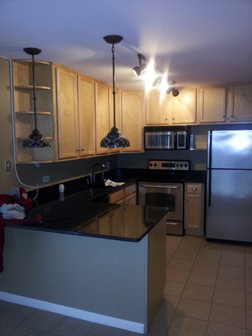 6019 Forest View Road, Unit 1B Lisle, IL 60532 - Photo 2 of 11
