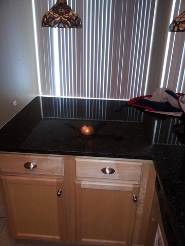 6019 Forest View Road, Unit 1B Lisle, IL 60532 - Photo 4 of 11