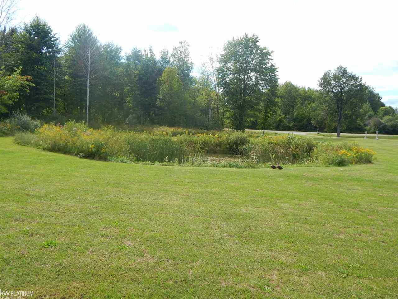 3162 Breen Road Emmett, MI 48022 - Photo 13 of 37 31358854-12.JPG