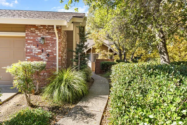 a plant is in front of a building