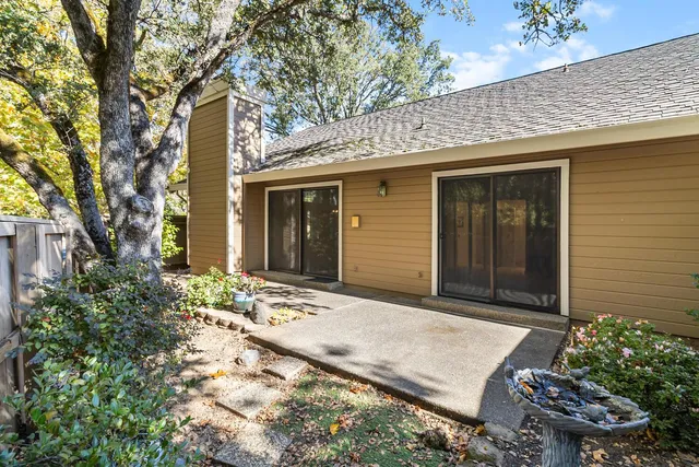 a view of a yard with plants and trees