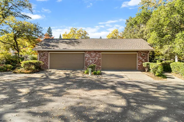 a wooden bench with a tree in the background