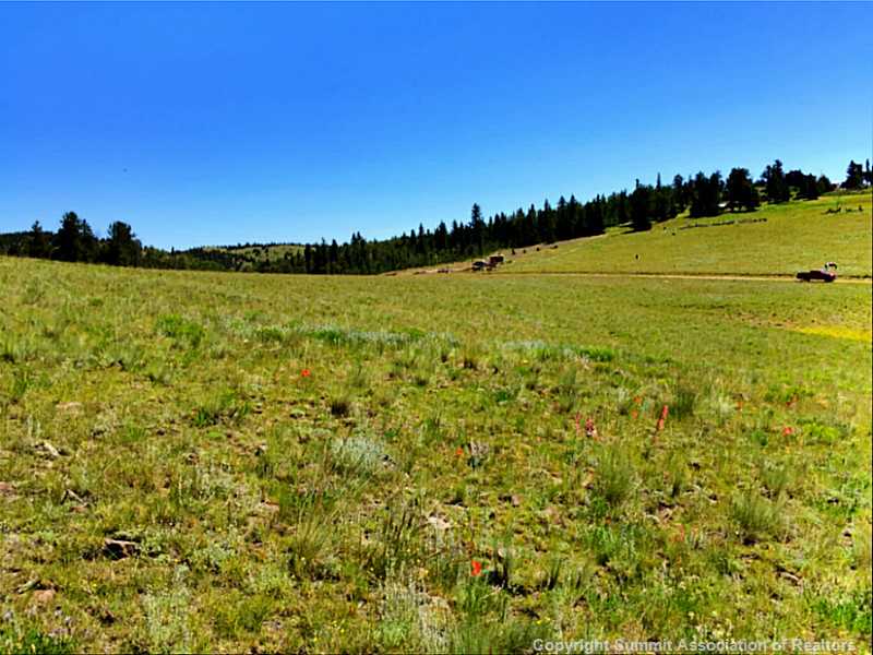 2410 Reinecker Ridge Road Fairplay, CO 80440 - Photo 3 of 22 Land/Lot.