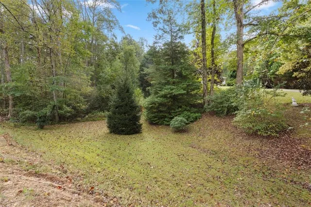 a view of a yard with trees