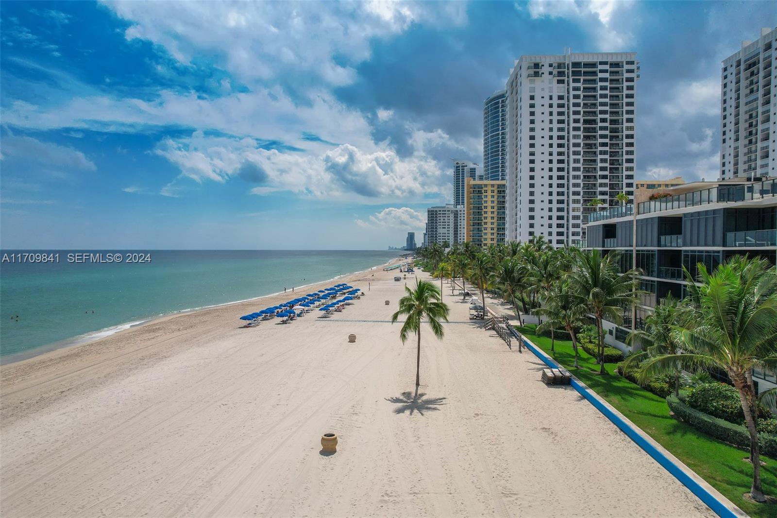 2205 South Surf Road, Unit 3A Hollywood, FL 33019 - Photo 57 of 58 a view of a yard with a palm tree