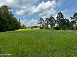 11190 Treadwell Road Forsyth, GA 31029 - Photo 5 of 30 Pasture at orginal house 2