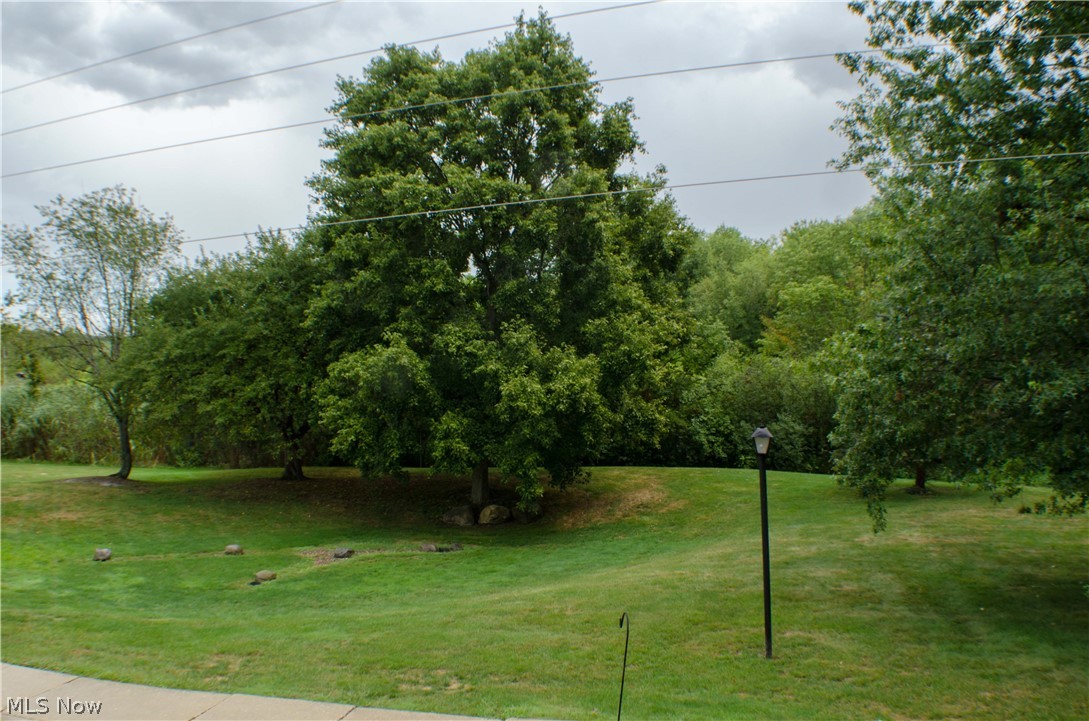 784 Kirkwall Drive Akron, OH 44321 - Photo 25 of 33