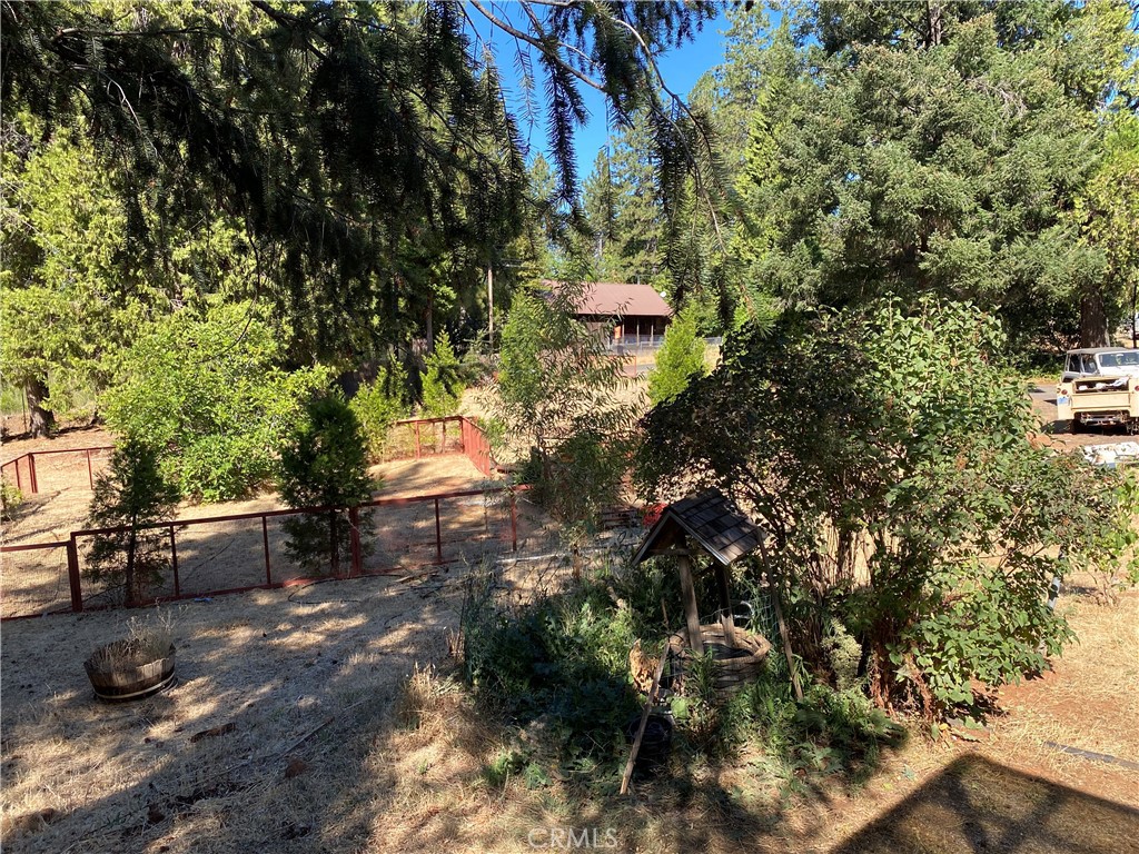 14650 Nimshew Road Magalia, CA 95954 - Photo 12 of 22 a backyard of a house with lots of green space