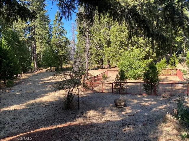 a view of a park with large trees