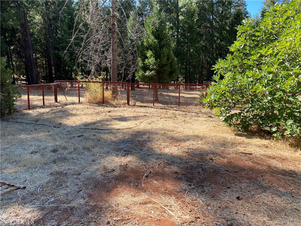 14650 Nimshew Road Magalia, CA 95954 - Photo 14 of 22 a view of a yard with a trees