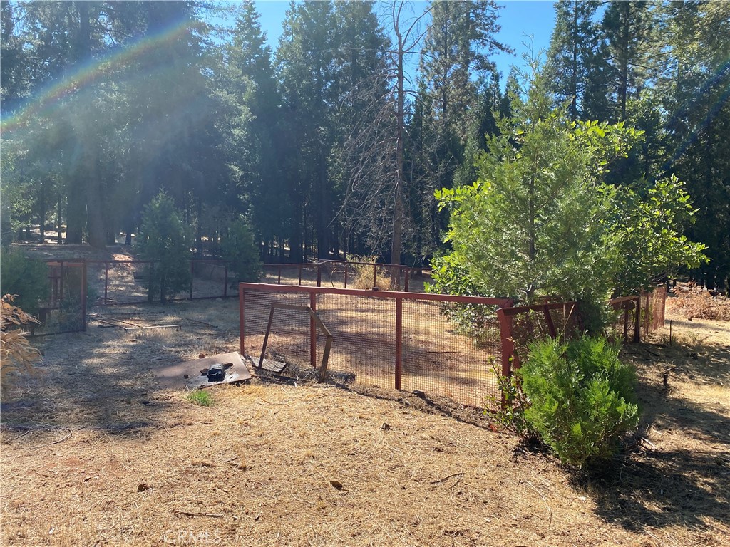 14650 Nimshew Road Magalia, CA 95954 - Photo 15 of 22 a view of a yard with plants and trees