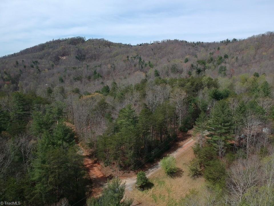 Tbd Tbd Old Oak Road Boomer, NC 28606 - Photo 1 of 12 Gallery Image 1