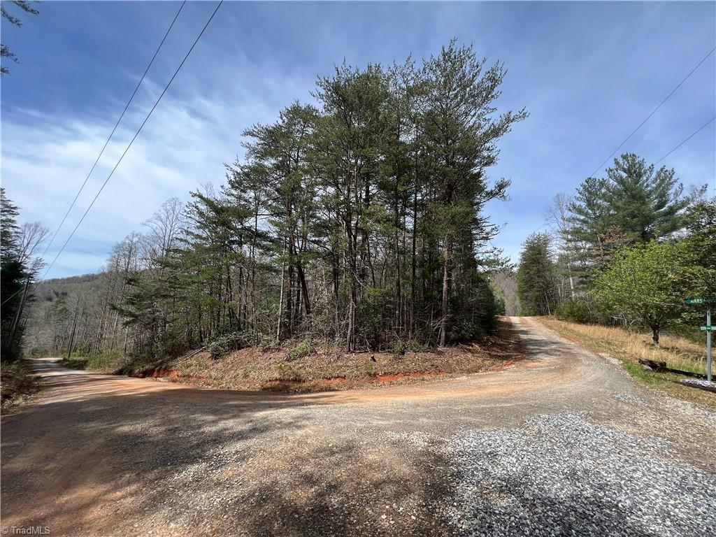 Tbd Tbd Old Oak Road Boomer, NC 28606 - Photo 11 of 12 Gallery Image 11