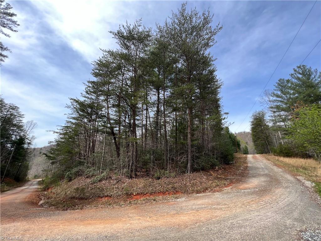 Tbd Tbd Old Oak Road Boomer, NC 28606 - Photo 5 of 12 Gallery Image 5