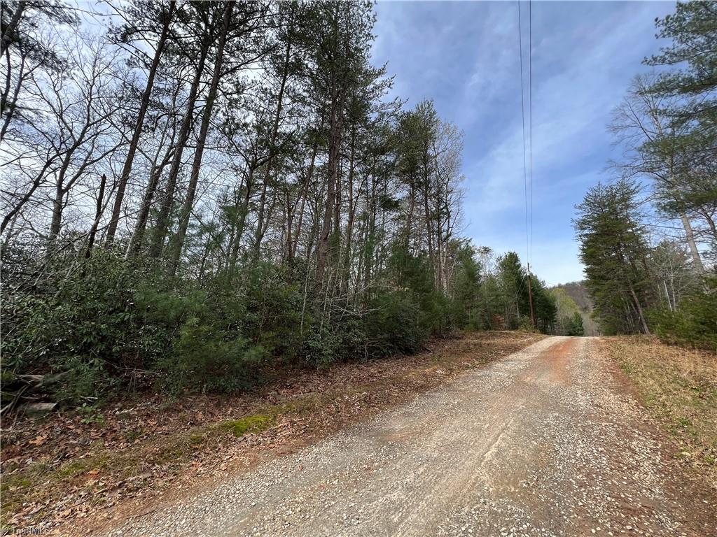 Tbd Tbd Old Oak Road Boomer, NC 28606 - Photo 6 of 12 Gallery Image 6