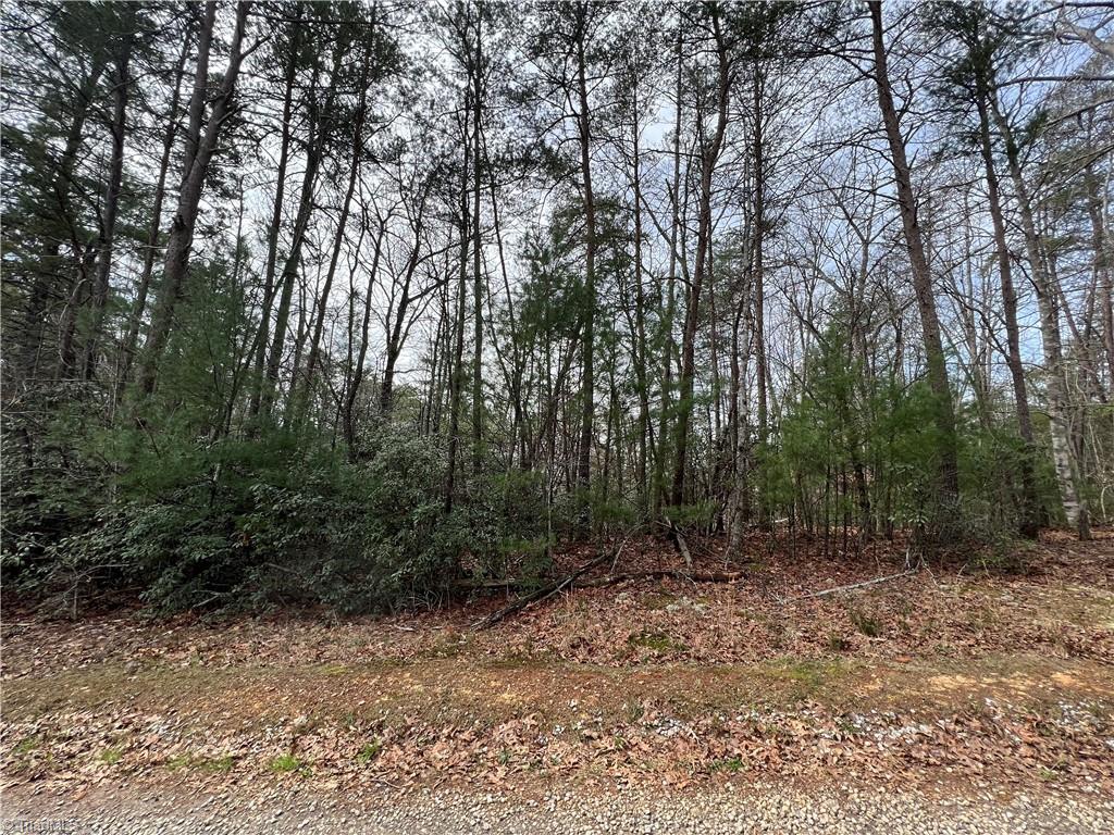 Tbd Tbd Old Oak Road Boomer, NC 28606 - Photo 7 of 12 Gallery Image 7