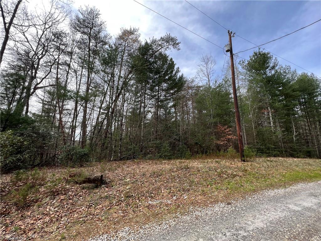 Tbd Tbd Old Oak Road Boomer, NC 28606 - Photo 8 of 12 Gallery Image 8