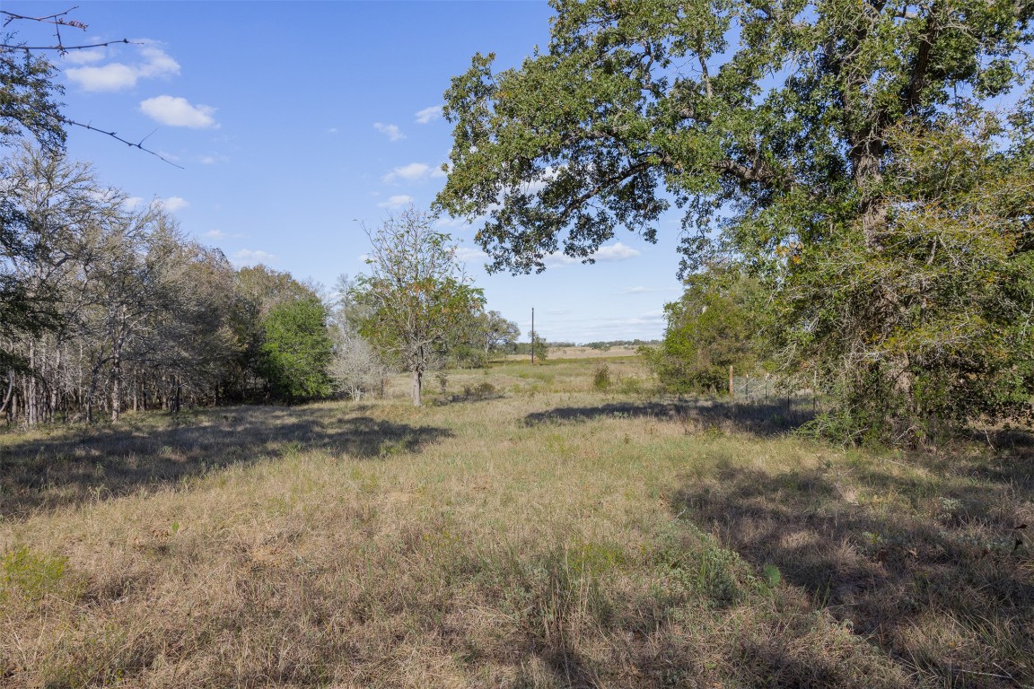 897 Ferguson Loop Dale Dale, TX 78616 - Photo 2 of 8 a view of a yard with a tree