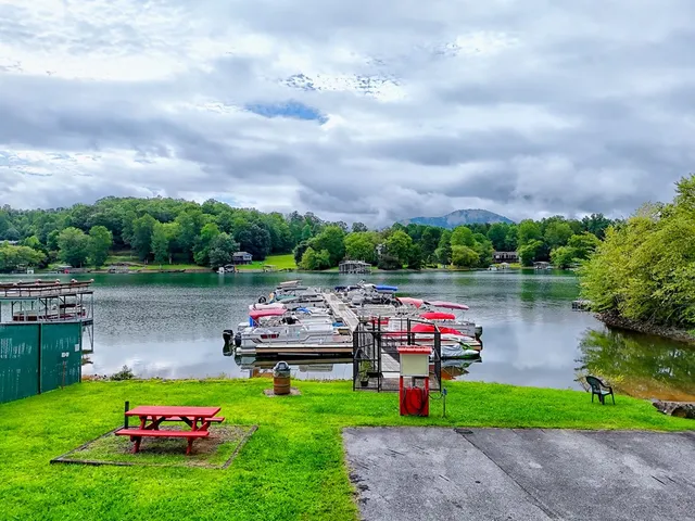 a view of house with garden and tall trees