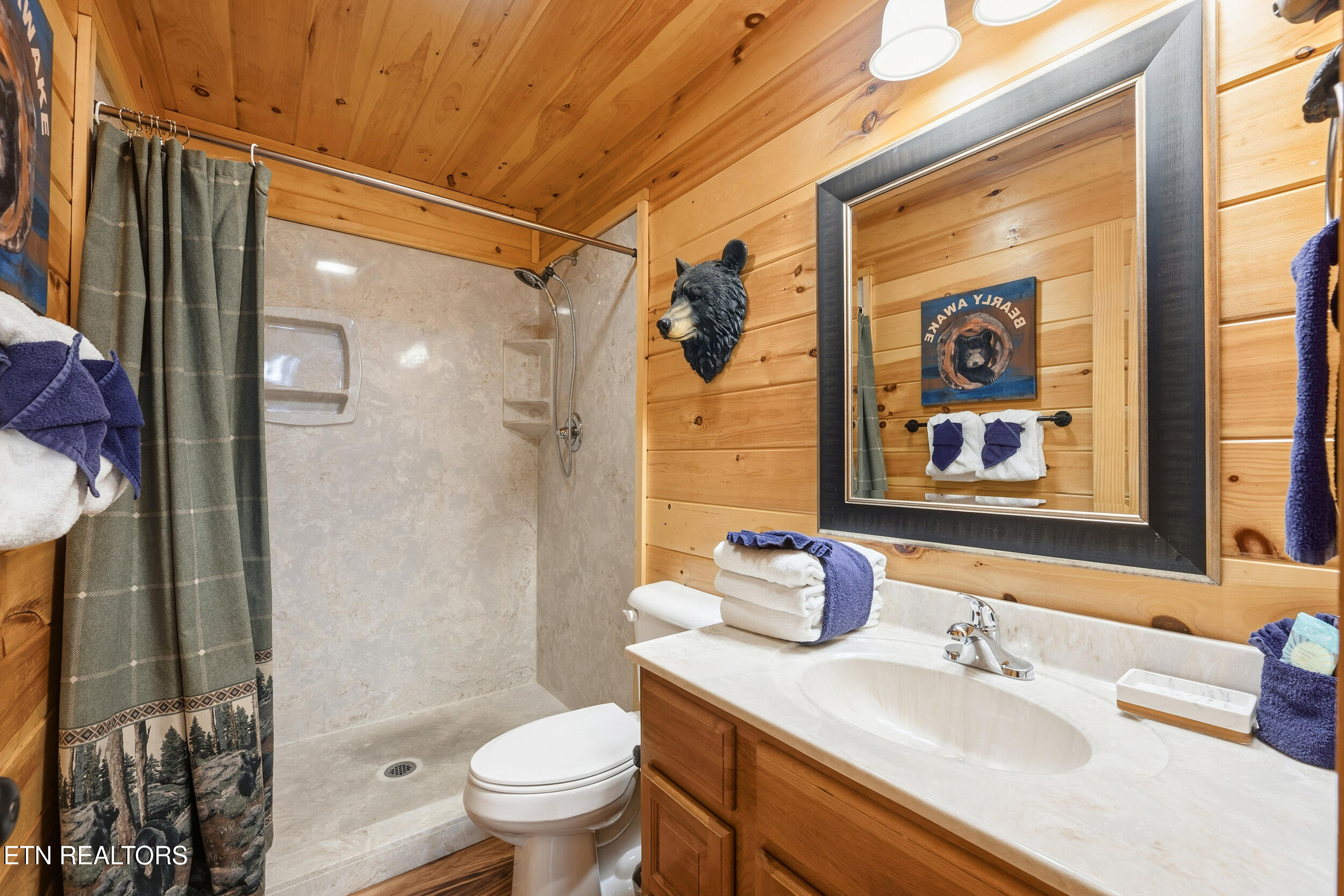 2756 Murray Ridge Road Sevierville, TN 37876 - Photo 12 of 27 Bathroom