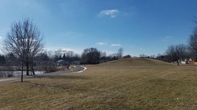 133 Heathgate Road Montgomery, IL 60538 - Photo 10 of 34 a view of outdoor space and yard