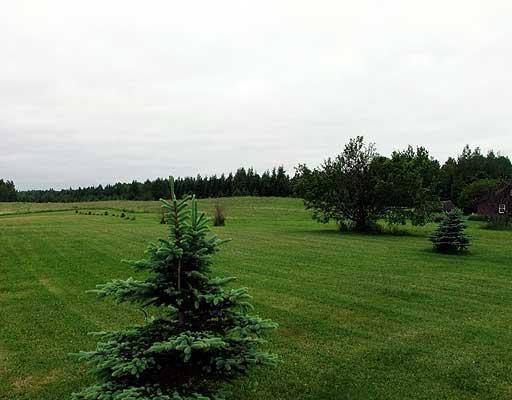 587 Fletcher Road Monticello, ME 04760 - Photo 5 of 35 Land.