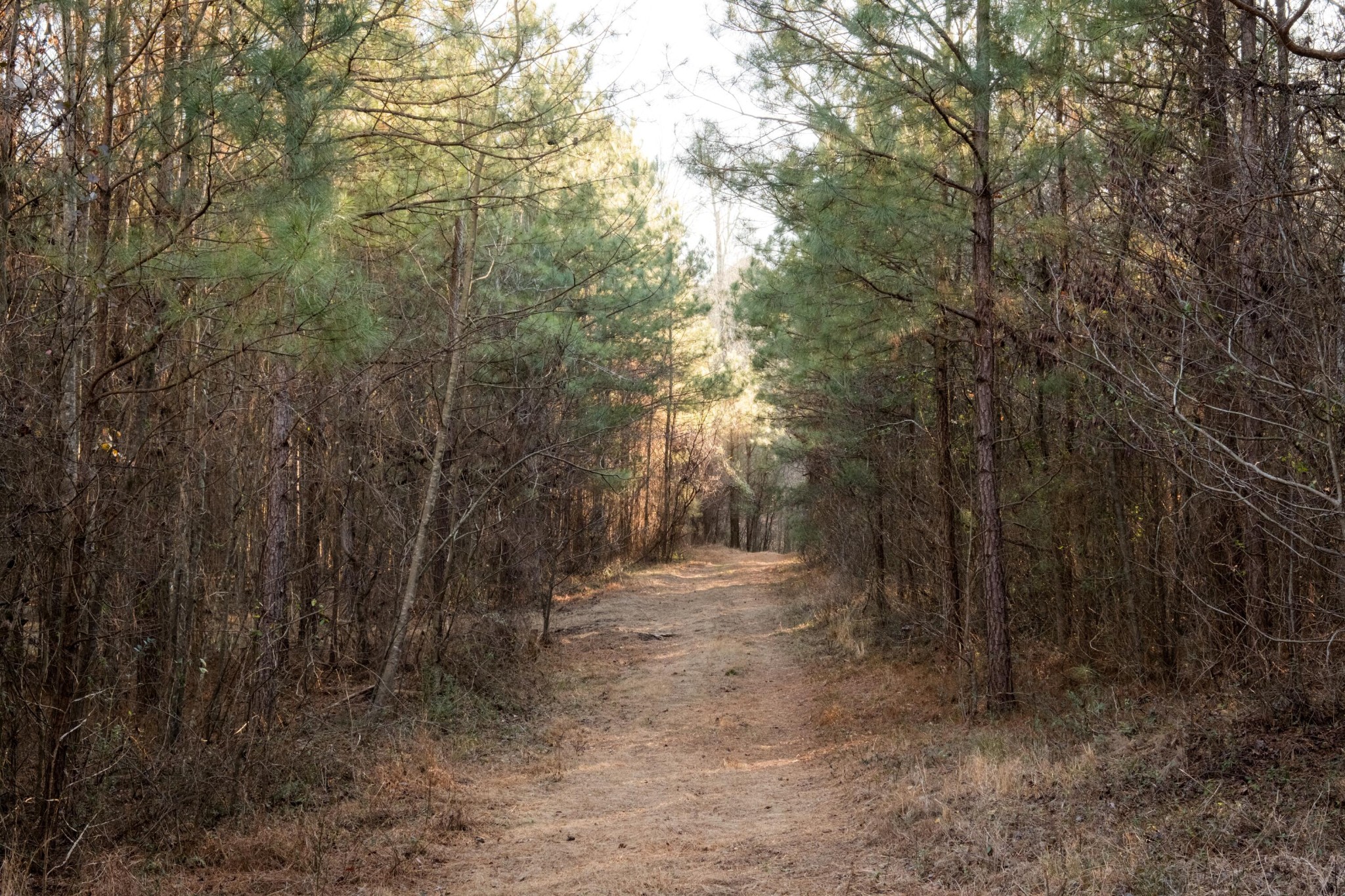 0 Floyd Springs Road Northeast Armuchee, GA 30105 - Photo 14 of 36