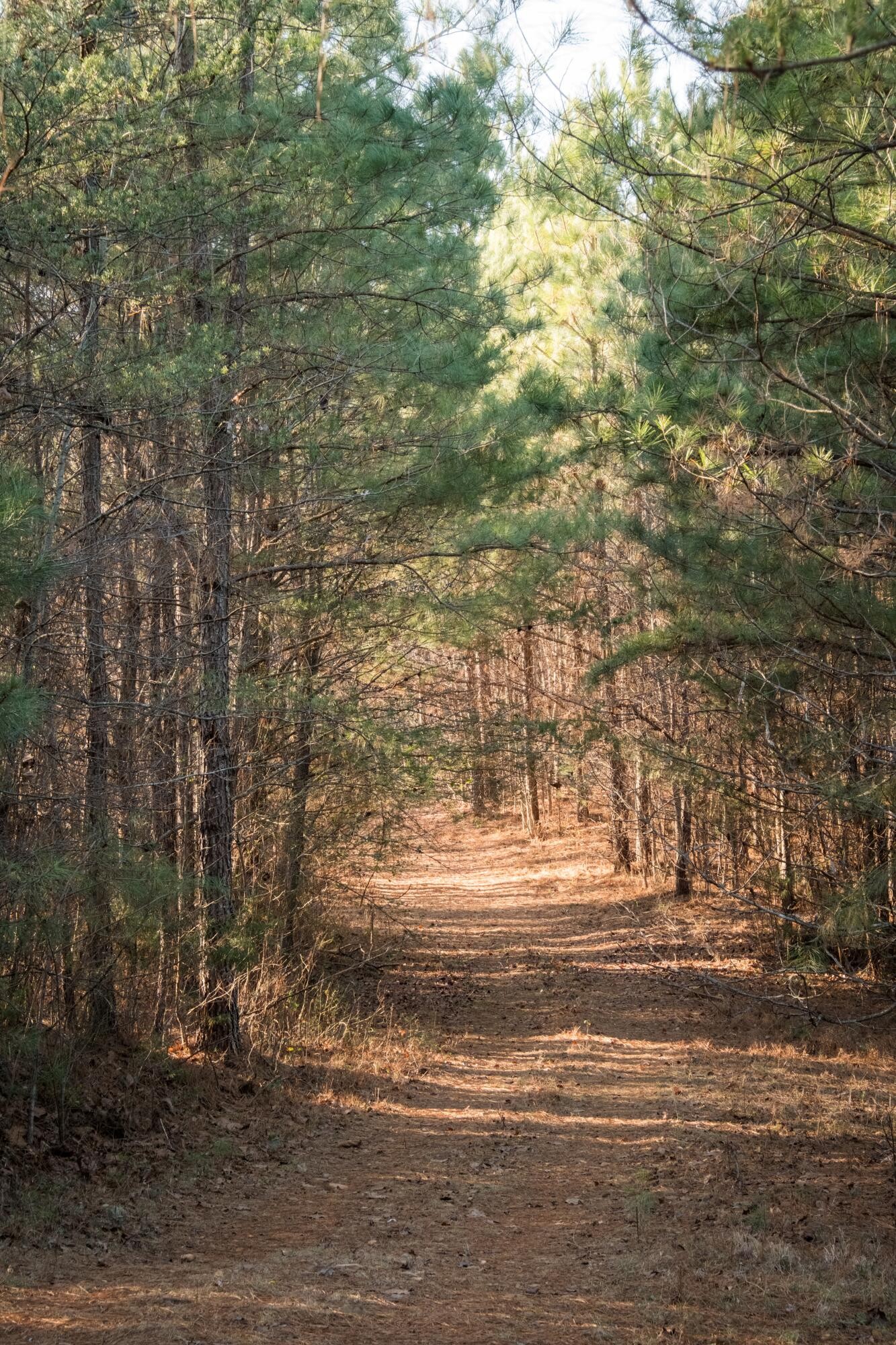 0 Floyd Springs Road Northeast Armuchee, GA 30105 - Photo 15 of 36