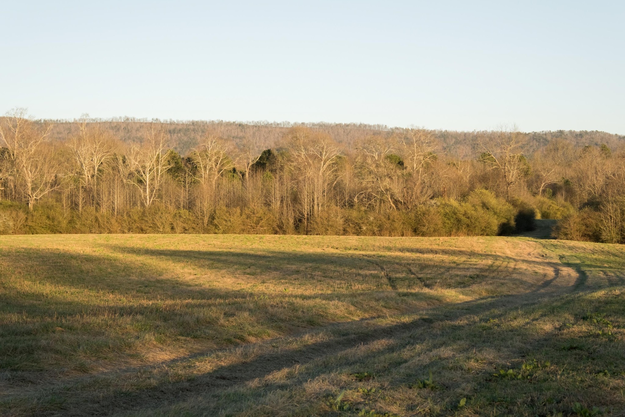 0 Floyd Springs Road Northeast Armuchee, GA 30105 - Photo 5 of 36