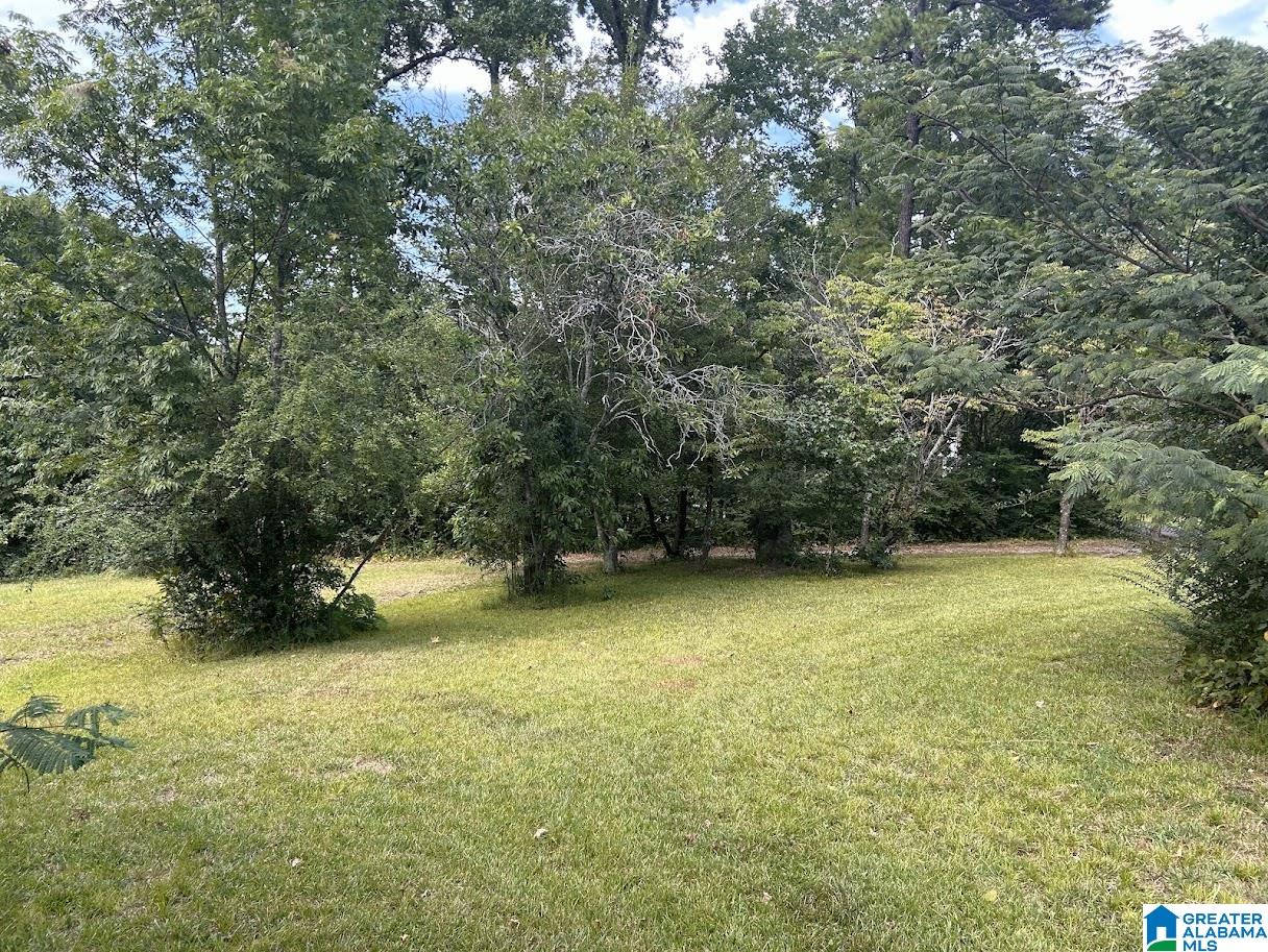 1818 Hillcrest Road Northeast Birmingham, AL 35215 - Photo 3 of 23