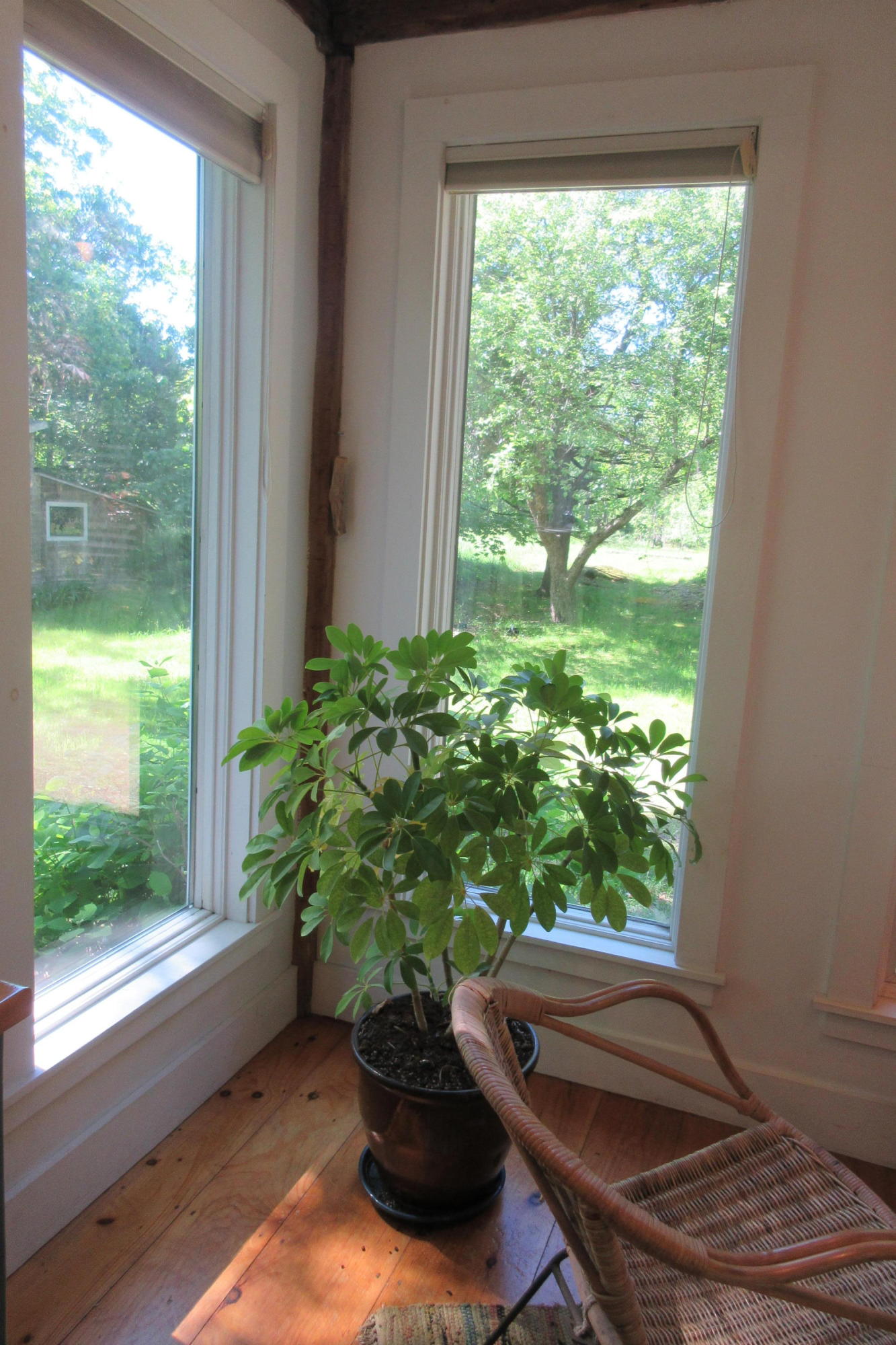 145 Carding Machine Road Bowdoinham, ME 04008 - Photo 27 of 80 IMG_2500