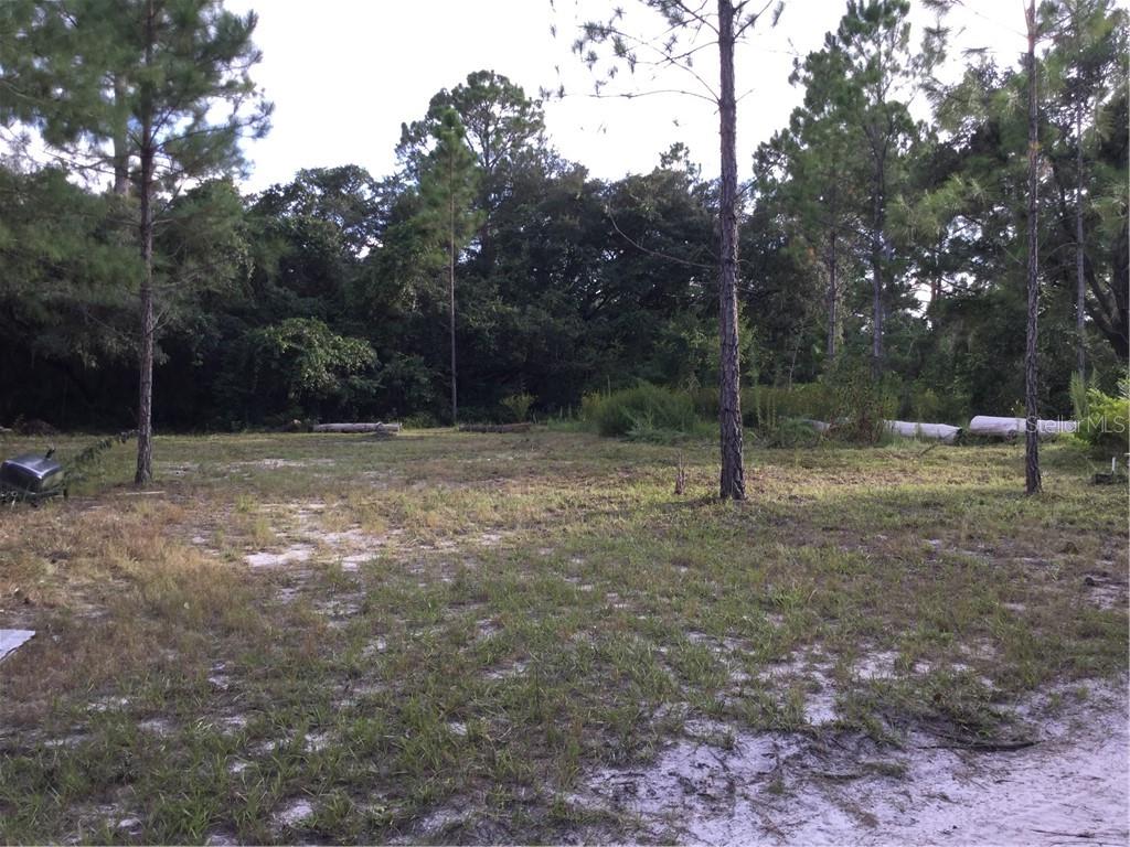 44221 Jeffrey Road DeLand, FL 32720 - Photo 1 of 1 Gallery Image 1
