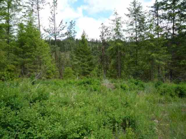 0 Bissell - B Road Hunters, WA 99137 - Photo 1 of 9 Gallery Image 1