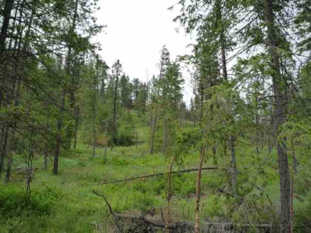 0 Bissell - B Road Hunters, WA 99137 - Photo 4 of 9 Gallery Image 4