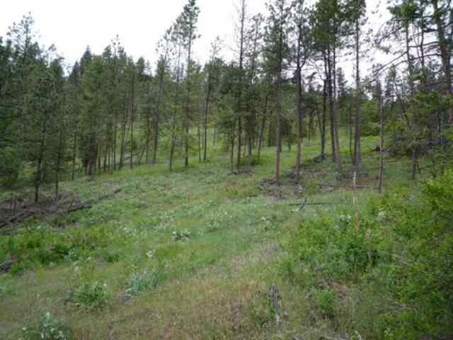 0 Bissell - B Road Hunters, WA 99137 - Photo 5 of 9 Gallery Image 5