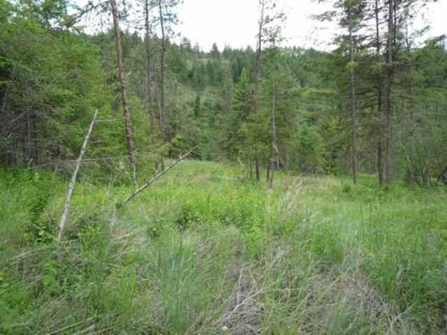 0 Bissell - B Road Hunters, WA 99137 - Photo 6 of 9 Gallery Image 6