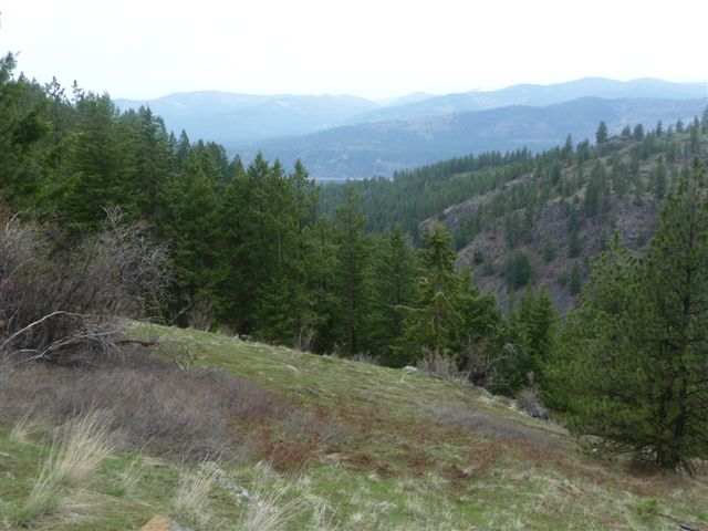 0 Bissell - B Road Hunters, WA 99137 - Photo 7 of 9 Gallery Image 7