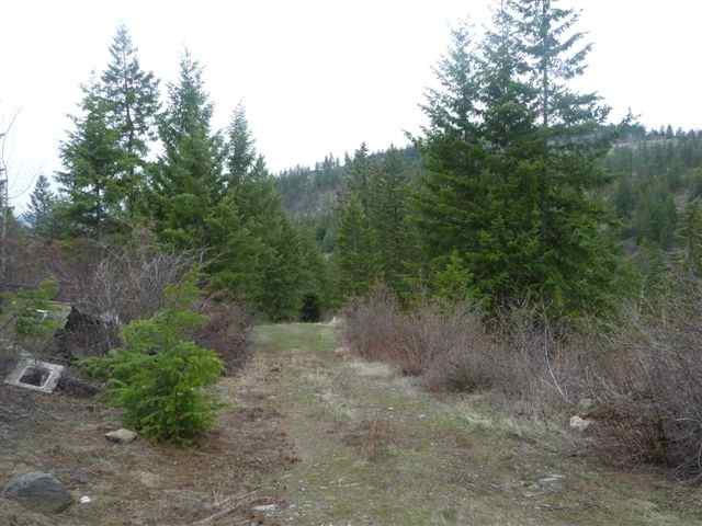 0 Bissell - B Road Hunters, WA 99137 - Photo 8 of 9 Gallery Image 8