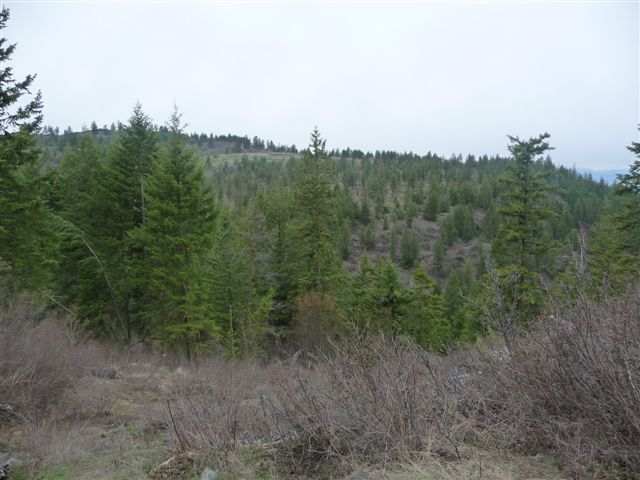 0 Bissell - B Road Hunters, WA 99137 - Photo 9 of 9 Gallery Image 9